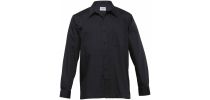 Evolution Shirt - Mens