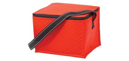 Lunch Buddy Cooler