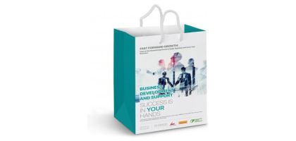 Medium Laminated Paper Carry Bag - Full Colour