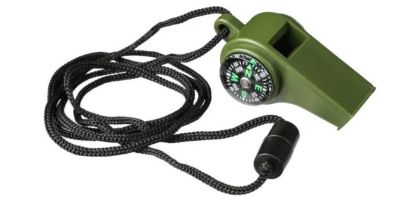 PP whistle Damon