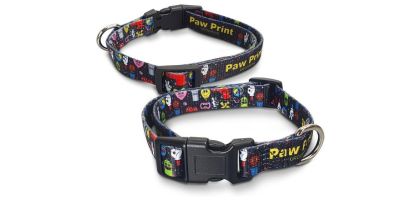Amigo Dog Collar