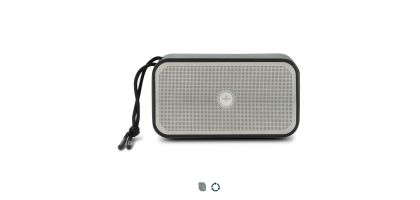 Swiss Peak 10W Bass Speaker