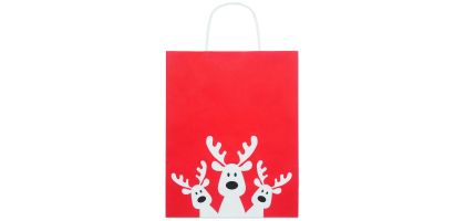Boa Medium Gift Bag
