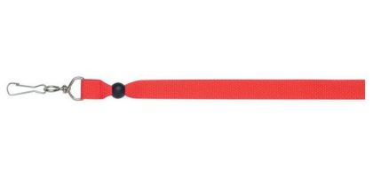 Ribbon Lanyard