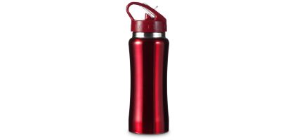 Stainless Steel 600ml Drinking Bottle