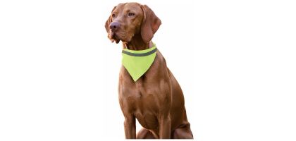 Bandana Pet Collar Bipols