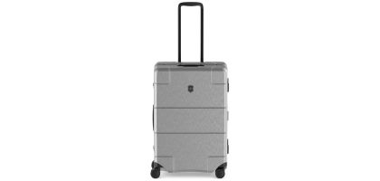 Lexicon Framed Series Medium Hardside Case