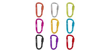 Custom D Shape Camping Carabiner