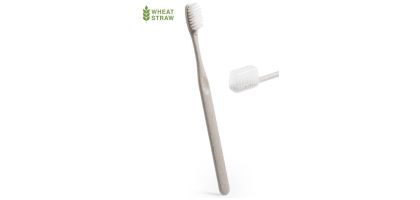 Toothbrush Cleidol
