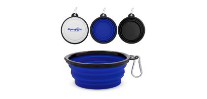 Buddy Collapsible Bowl