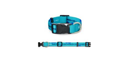 Sublimated Dog Collar
