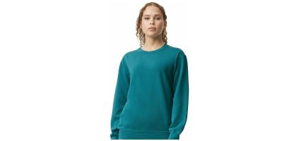 Adult Hooded Sweatshirt