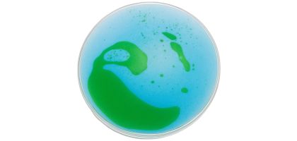 Liquid Coaster
