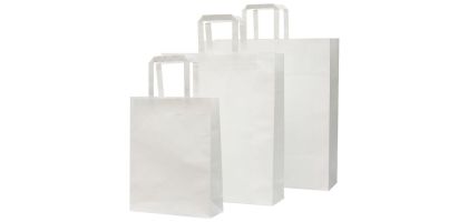 Paper Bag Medium
