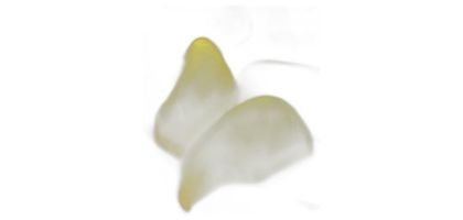 Mini Bananas