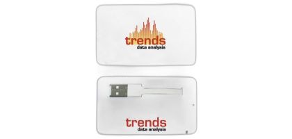 Business Card USB 2.0 Flash Drive