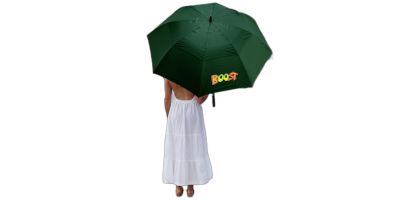 Stormy Umbrella