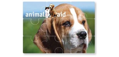 Jigsaw Magnet 210 X 150Mm