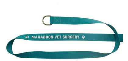 Heavy Duty Polyester Screen Printed Leash with D-Ring