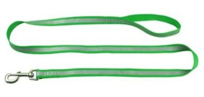 Heavy Duty Reflective Polyester Screen Printed Leash with Swivel Clip