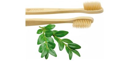Natural Bamboo Toothbrush
