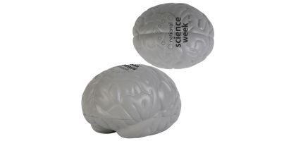 Brain Shape Stress Reliever