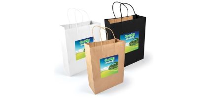 Express Paper Bag Large