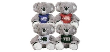Korporate Koala