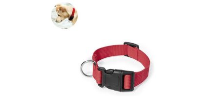 Mastif Pet Collar