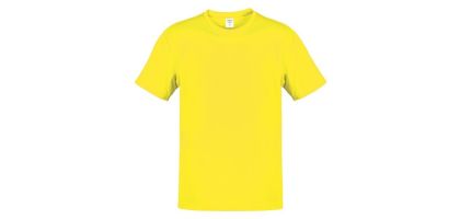 Adult Color T-shirt Hecom