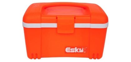ESKY 12L HI VIS ICE KING-ORANGE