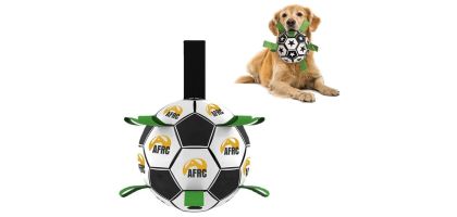 Dog Soccer Ball With Grab Tabs