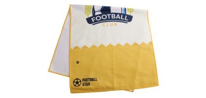 Colour Sports Towel (50x100cm)