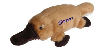 Custom Platypus Plush Toy