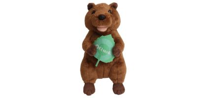 Custom Quokka Plush Toy