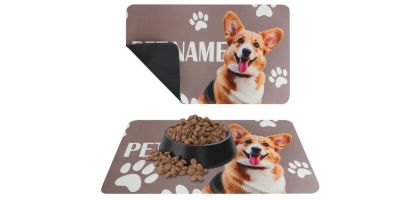 Pet Feeding Mat