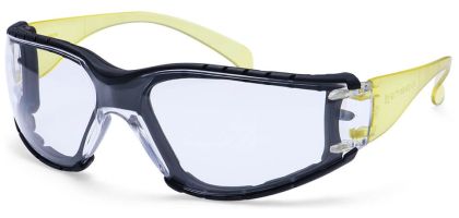 Wrap Around Plus Safety Glasses