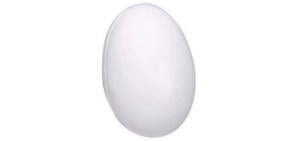 Stress Egg - White
