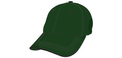 Washed Twill Sandwich Cap