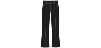 Embroided Printed Ladies Pant