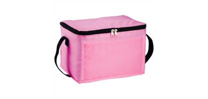 Spectrum Budget 6 Can Lunch Cooler