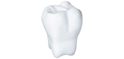 Stress Tooth