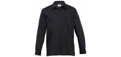 Evolution Shirt - Mens