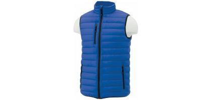 Whistler Light Down Vest - Mens