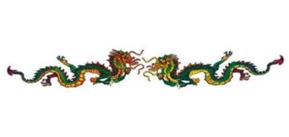 Temporary Tattoo (229mm x 25mm)