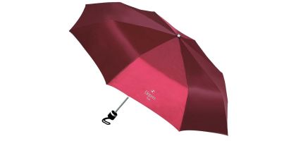 Spring Carnival Umbrella