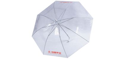 Antarctic Clear Plastic Umbrella