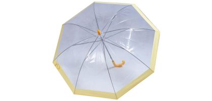 Iceland Clear Plastic Umbrella