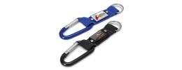 Carabiner Key Ring