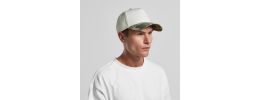 Frame Two-Tone Camo Cap
